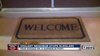 Vigilant neighbor stops burglars