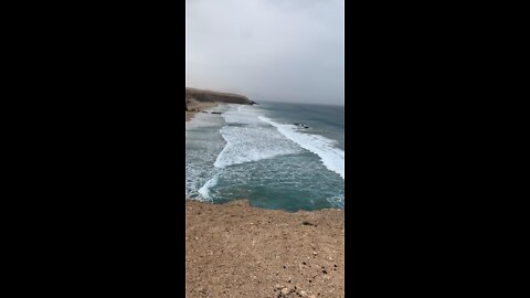 Sea windsurfing (Fuerteventura)