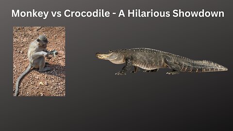 Monkey vs Crocodile - A Hilarious Showdown