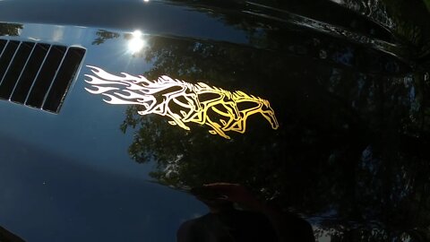 Racing Horse Decals - Gold " Mod "