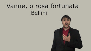 Vanne, o rosa fortunata - 15 chamber compositions - Bellini