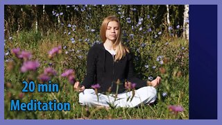 20 minute Meditation with Om Chanting ~ Relaxing Meditation Music with Subliminal Affirmations