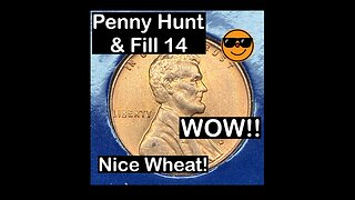 Wow! Nice Wheat! - Penny Hunt & Fill 14
