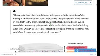 🟨 Report 24 : 德國研究：病毒和疫苗中的刺突蛋白導致腦細胞死亡 + 瑞士撤回所有新冠疫苗接種建議