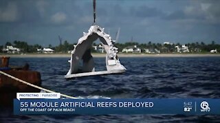 New artificial reef project created off Palm Beach