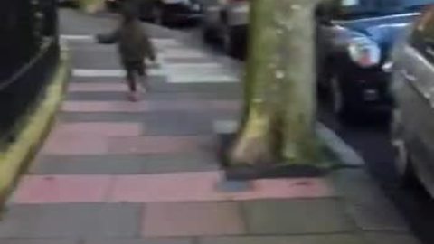 Stealthy kid escapes from leash, takes off down the street