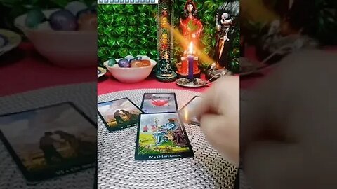 DECIDIRAM AGORA #tarotresponde #tarotreading #tarotdoamor #relacionamento #cartomante #luxmagh