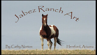 Jabez Ranch Art by Cathy Norton - Mixed Media