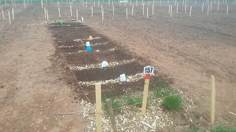 Wild Urban Gardens 2021 - First Seeds Planted at Community Garden Plot