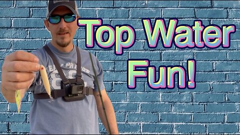 Top Water Fun