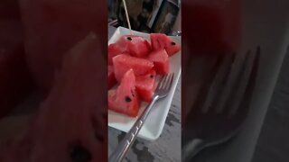 Watermelons provide immense nutrition, electrolytes, vitamins and minerals