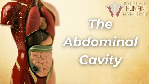 Anatomy Masterclass: The Abdominal Cavity