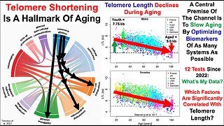 Telomere Length Test #12: Correlations With Diet