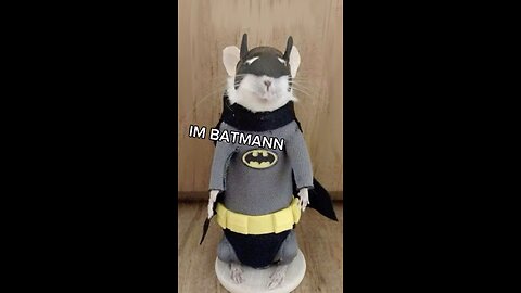 RatMan hero of dark justice