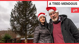 Grandparents celebrate granddaughter's first Christmas by planting a Christmas tree