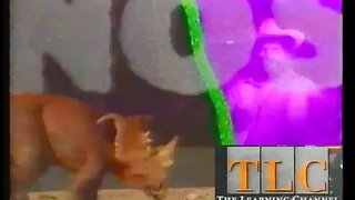 1994 TLC Commercial "Searching For Dinosaurs" on Ancient Journeys (90's Lost Media)