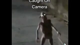 Alien Caught on camera!