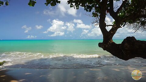 3hrs of the calm ocean waves of the Caribbean Sea from the perfect spot - Nature ASMR
