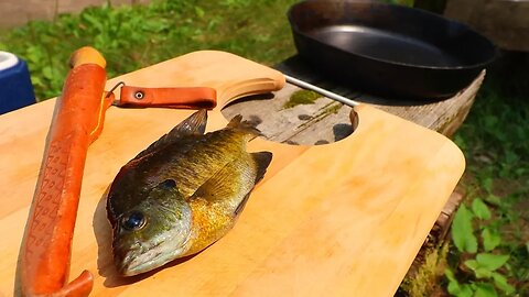 Bluegill Catch Clean Cook (Bank Fishing and Campfire cooking) ep.14 of 30 Day Challenge
