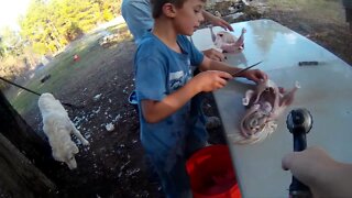 TexasBoys kid processes a chicken for the first time!