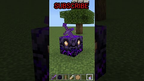 Minecraft Tick Tok Hack