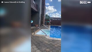 Cão vence o medo da piscina para salvar a dona