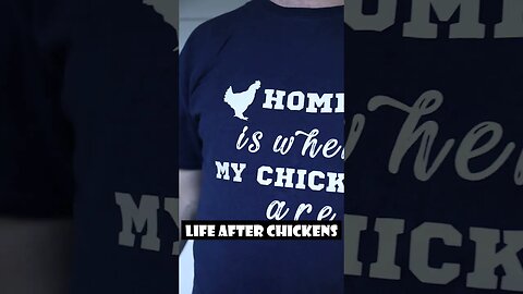Life before & after CHICKENS #backyardflock #chickens #shorts