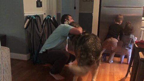 Jealous Dog Makes Sure He Also Gets Hug From Owner