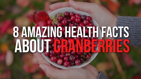 8. Amazing Health Facts about Cranberries
