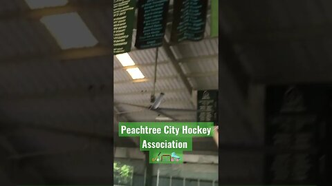 Peachtree city hockey Association. #MovingToPeachtreeCity #PeachtreeCity #ThingsToDoInpeachtreecity