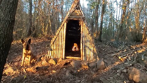 Build primitive house with Fireplace in forest - Camping cooking - camp