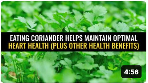 Eating coriander helps maintain optimal heart health (plus other health benefits)
