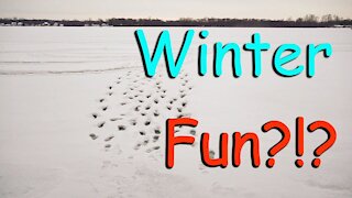 Snow Fun?