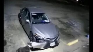 dogs attack car