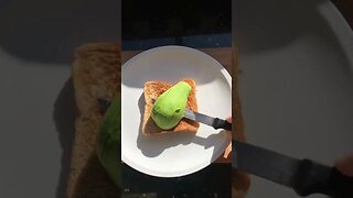 Avocado Toast Tiktok frans eats