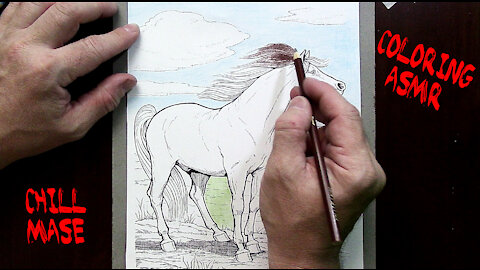 ASMR Coloring Horses