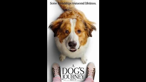 A DOG’S JOURNEY Movie Review