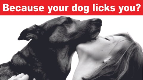 Because your dog licks you