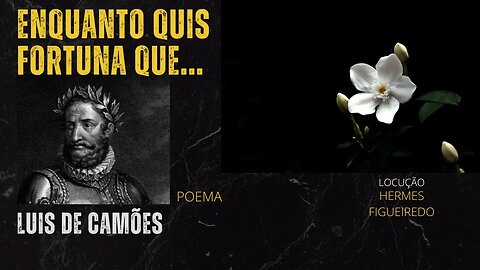 Poesia “Enquanto quis Fortuna que Tivesse” [Luis de Camões]