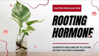 The Complete Guide To Rooting Hormones For Plant Propagation. The Science Behind DIY Vs. Bottled.