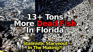 Tim Truth: Massive Fish Kill: 13+ Tons Of Dead Fish In Florida, Indiana & Michigan.