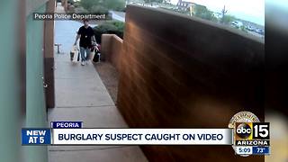 Peoria police looking for burglary suspect caught on video