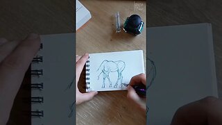 Quick Fountain Pen Sketch Session 🐴🖋 #drawingtutorial #fountainpen #sketching #animalsketch