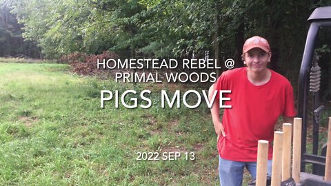 2022 Sep 13 Pigs Move