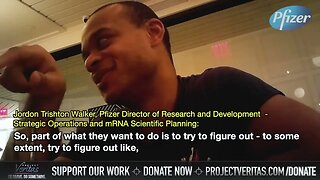 Highlights from Project Veritas' undercover report of Pfizer director
