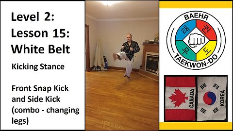 Baehr Taekwondo: 02-15: Yellow Stripe: Kicking Stance - Front Snap Kick and Side Kick (combo)