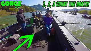 The Most Stressful SALMON FISHING EVER! (FISH ON)