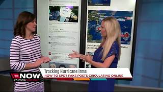 Tracking Hurricane Irma: How to spot fake posts circulating online