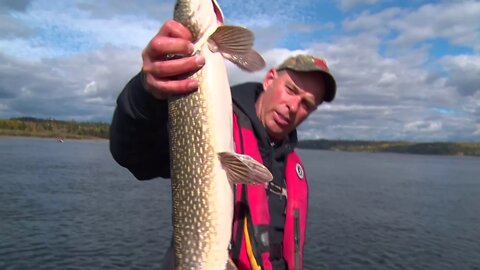 MidWest Outdoors TV Show #1645 - Nipigon River Fishing in NorthWest Ontario with Gord Ellis.