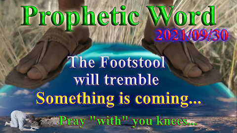 Prophecy: Something is coming and your knees will bring the prodigals home